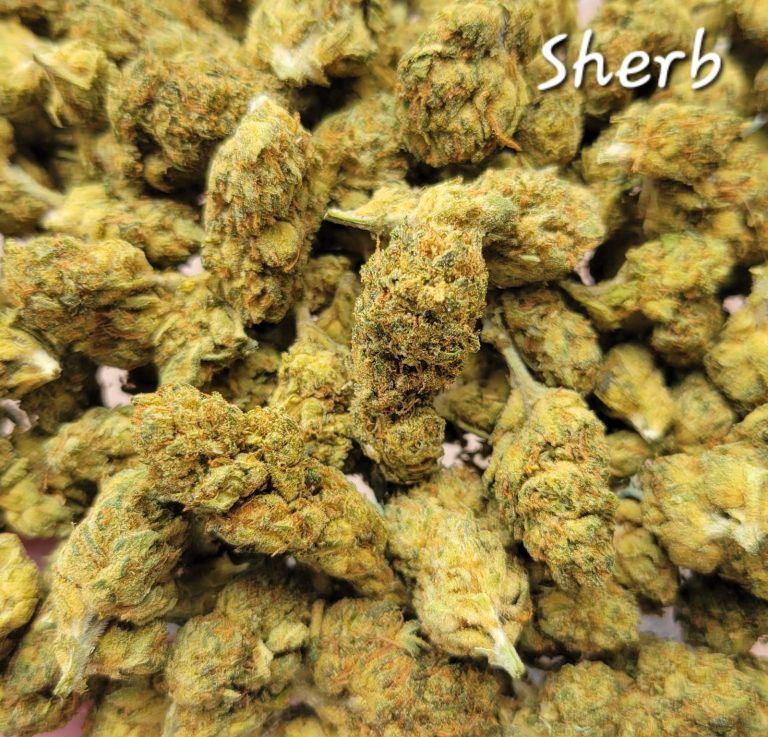 Organic weed in Prague. 
                    Super Sherb Marijuana Strain