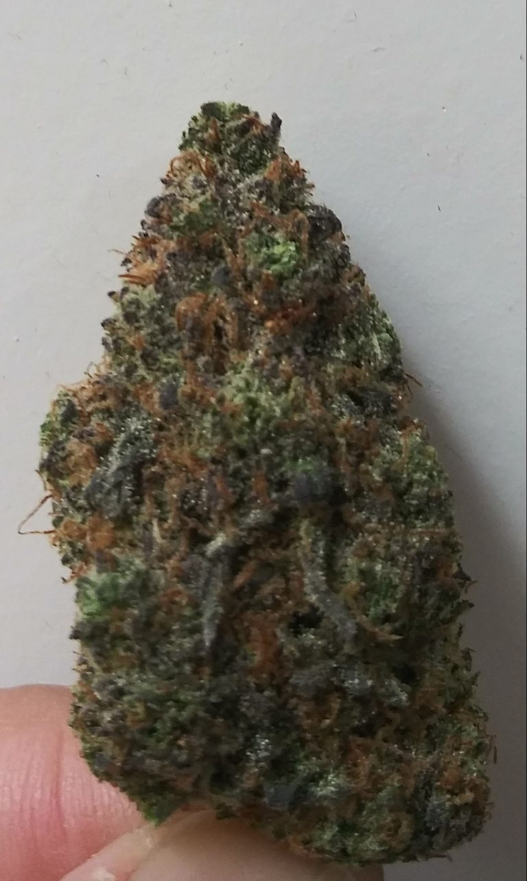 Organic weed in Prague. 
                    Chem Cookies Marijuana Strain