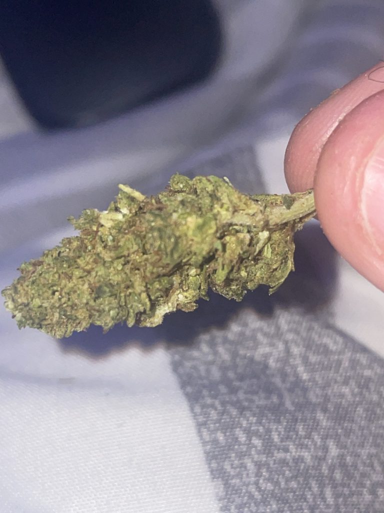 Organic weed in Prague. 
                    Sunkissed Marijuana Strain