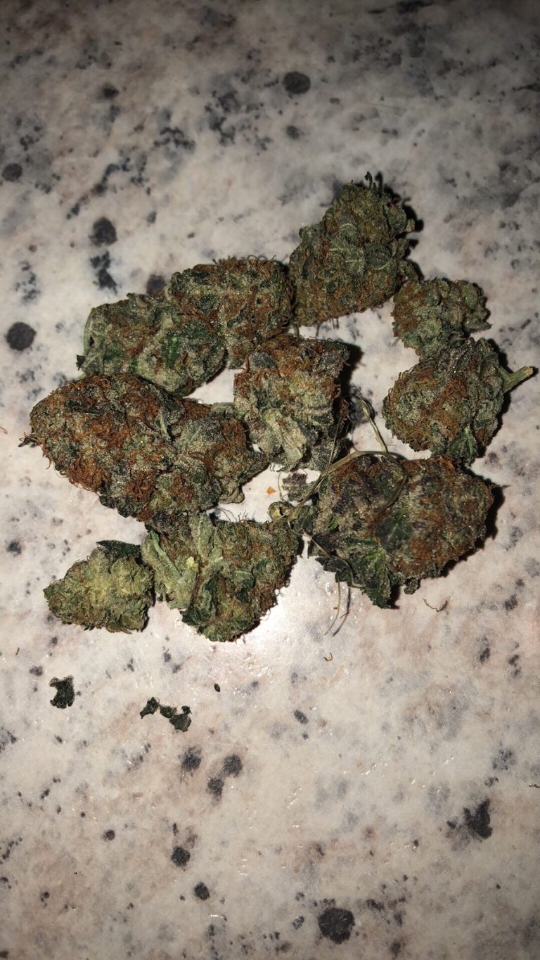 Organic weed in Prague. 
                    Lavender Cookies Marijuana Strain