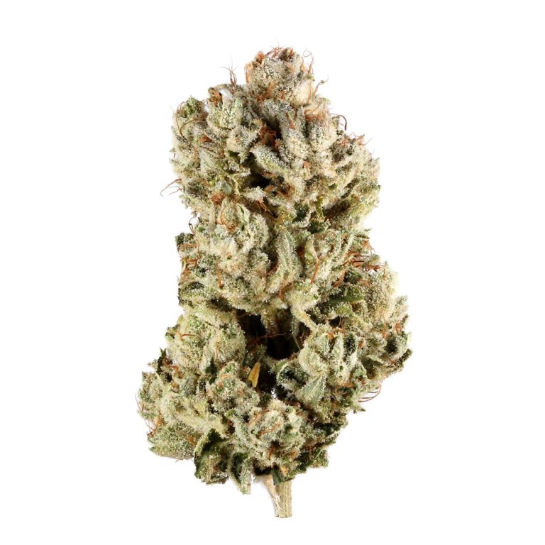 Organic weed in Prague. 
                    Wubba Punch Marijuana Strain