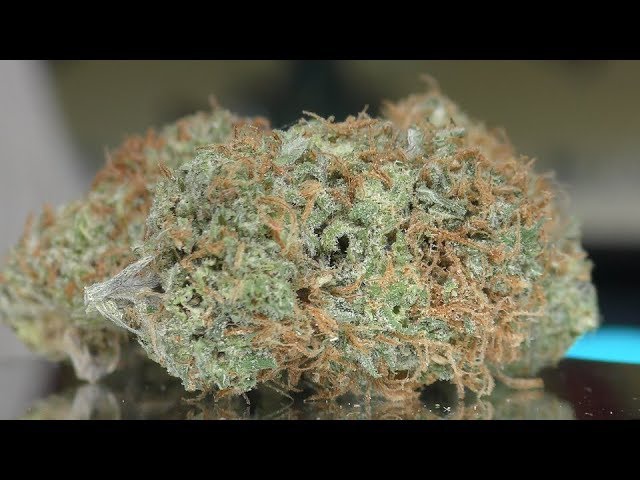 Organic weed in Prague. 
                    Canguro de Oaxaca Marijuana Strain