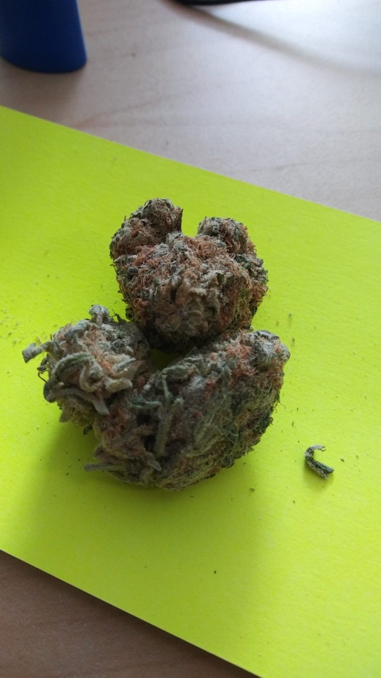 Organic weed in Prague. 
                    lavender Diesel Marijuana Strain