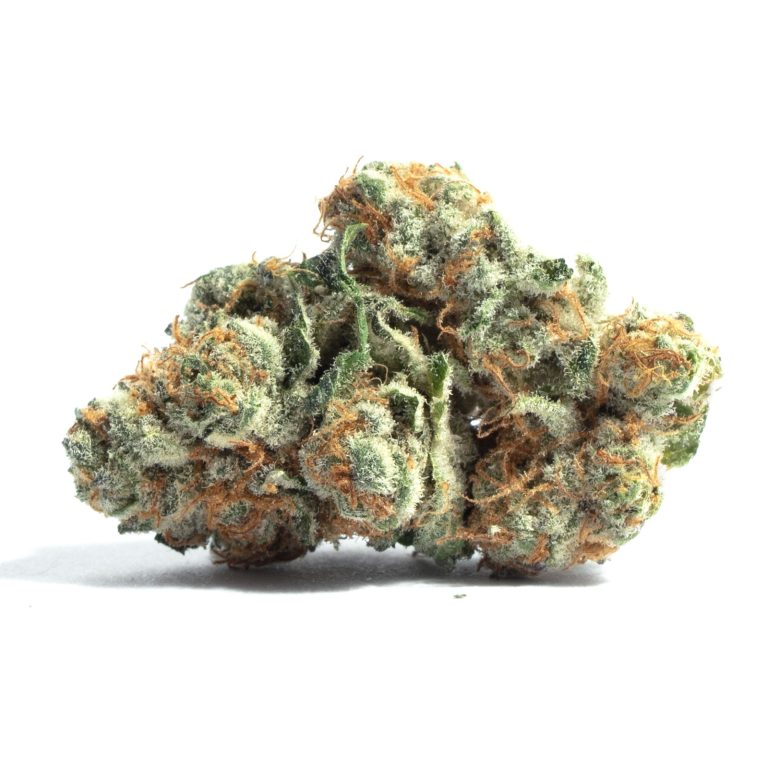 Organic weed in Prague. 
                    Gorilla Kush Marijuana Strain