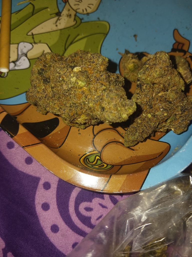 Organic weed in Prague. 
                    Purple Punch F2 Marijuana Strain