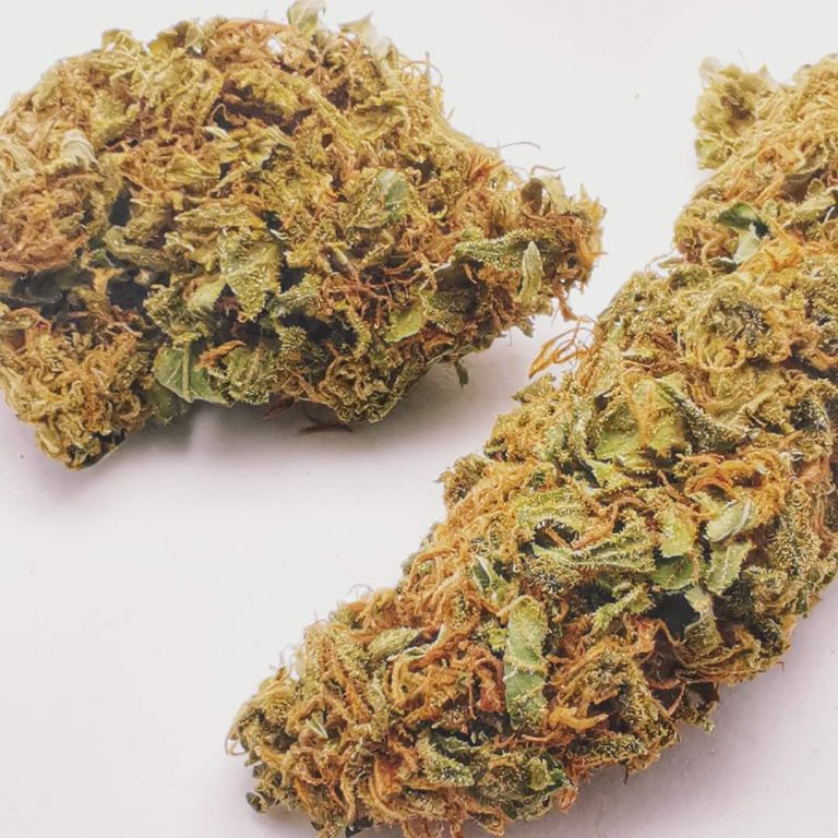 Organic weed in Prague. 
                    Laotian Marijuana Strain