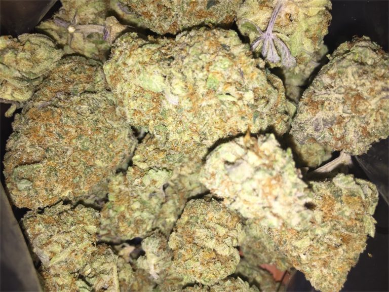 Organic weed in Prague. 
                    White Alien Marijuana Strain