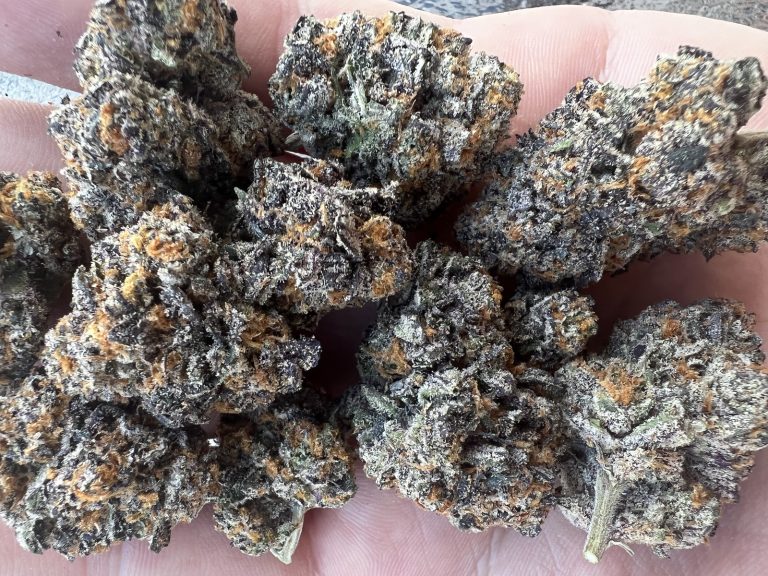 Organic weed in Prague. 
                    Purple Chunk Marijuana Strain