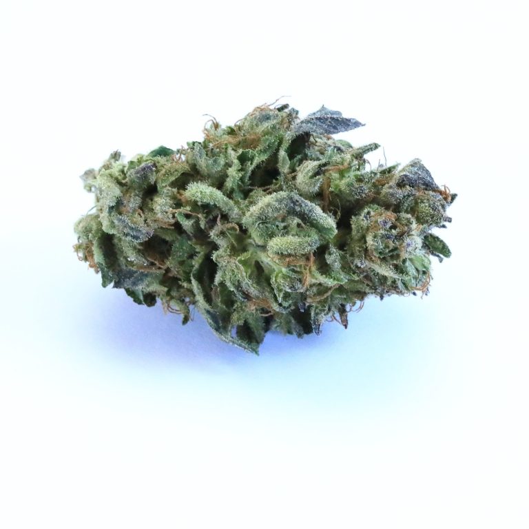 Organic weed in Prague. 
                    Vanilla Cream Pie Marijuana Strain