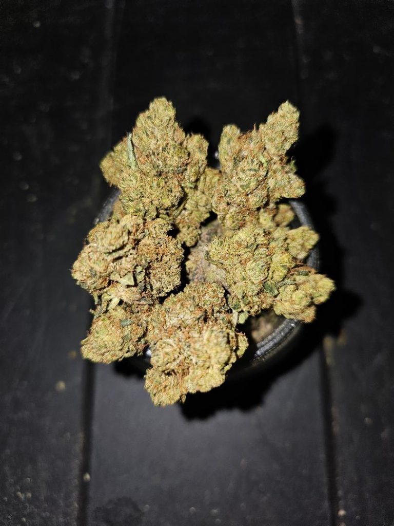 Organic weed in Prague. 
                    Opulent Og Marijuana Strain