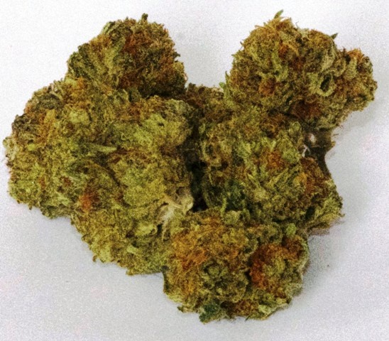 Organic weed in Prague. 
                    Galactica OG Marijuana Strain